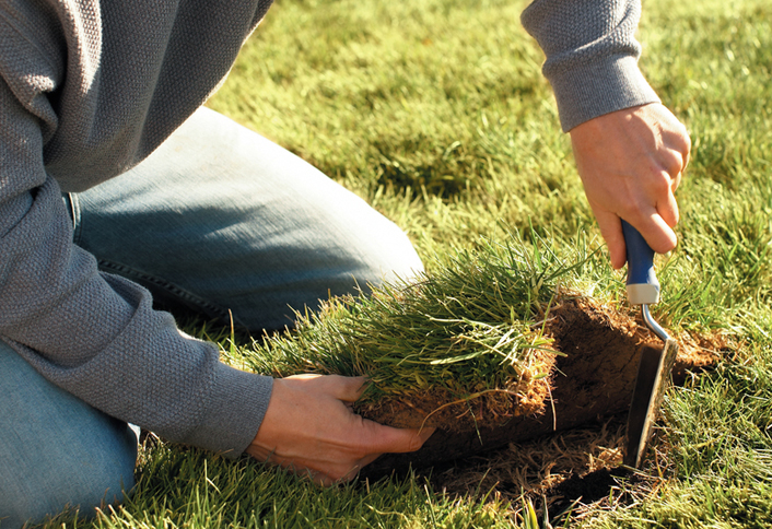 Easy Ways To Patch A Lawn At The Home Depot