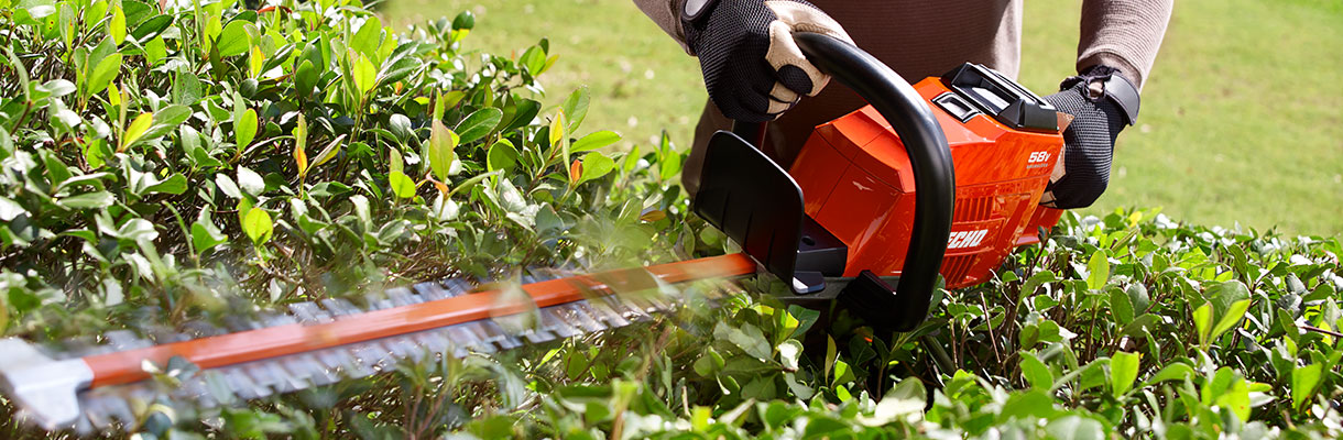 step 4 - hedge trimming tips step 4 - hedge trimming tips