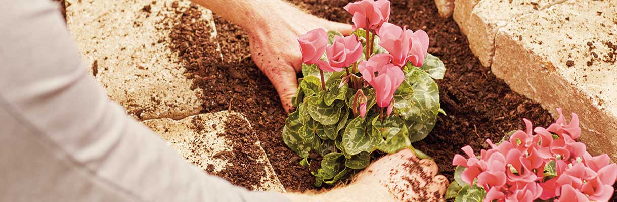 Create a Spiral Garden Create a Spiral Garden