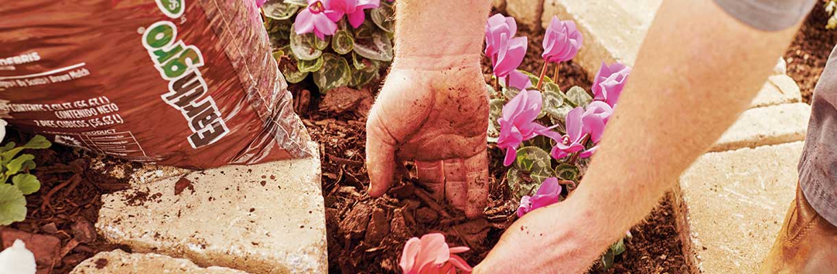 Create a Spiral Garden Create a Spiral Garden