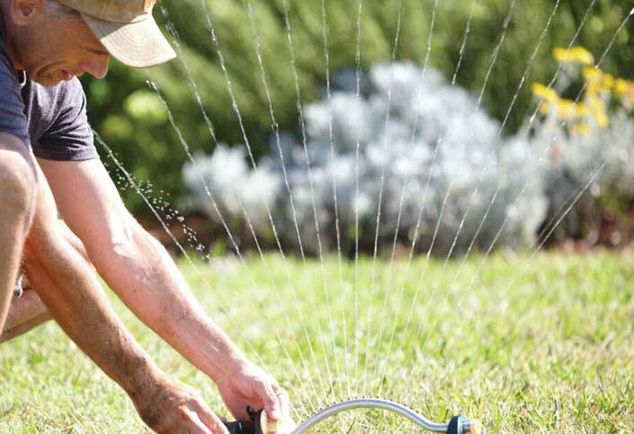 Water plants and trees - Add Mulch Your Plants Water plants and trees - Add Mulch Your Plants