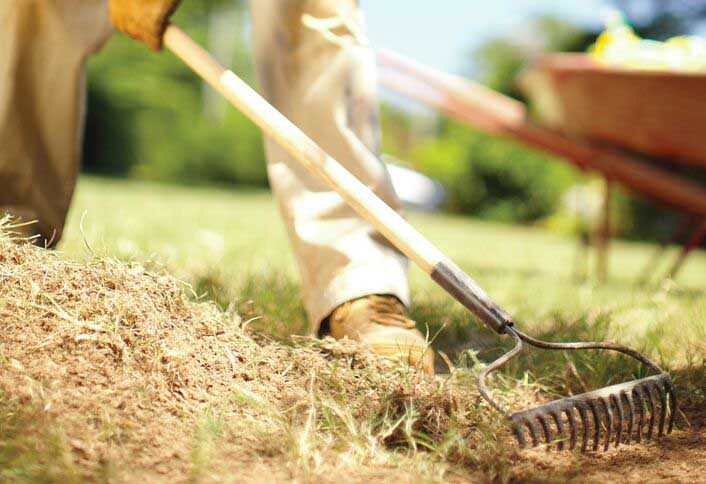 Spread and rake mulch - Add Mulch Your Plants Spread and rake mulch - Add Mulch Your Plants