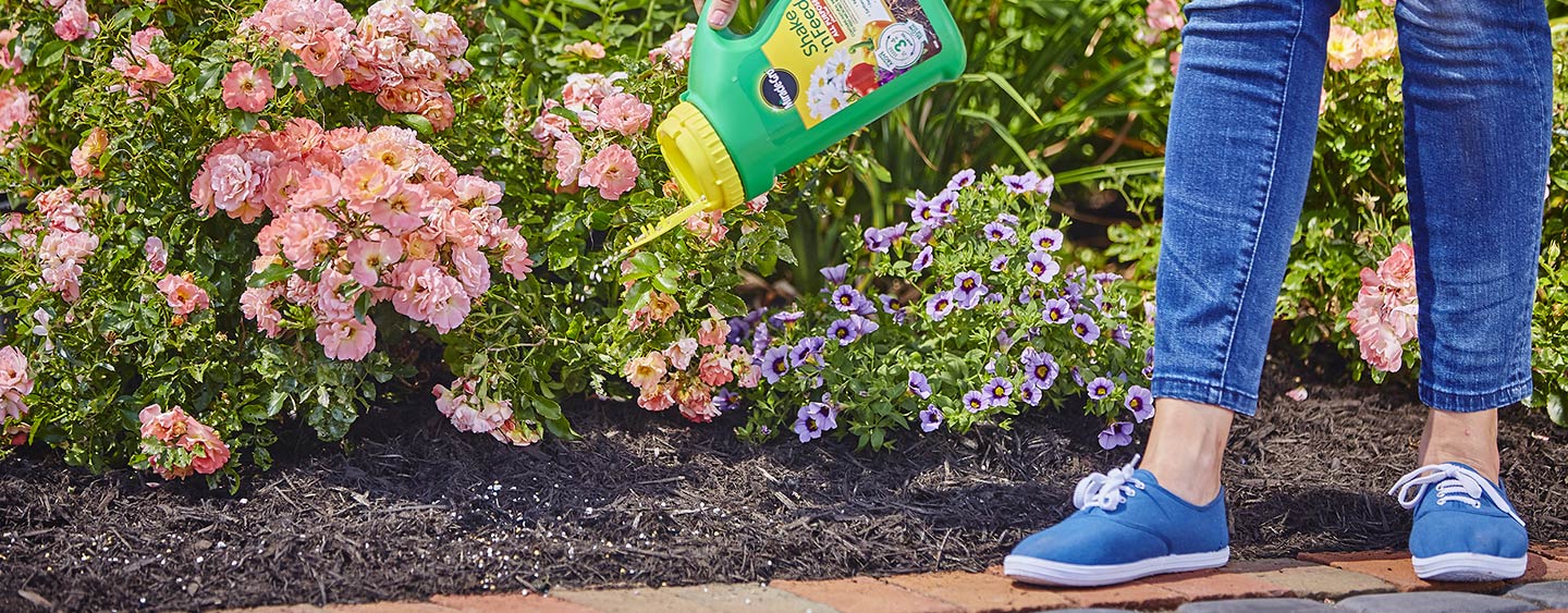 PLANT FERTILIZERS - ALL-PURPOSE PLANT FERTILIZERS PLANT FERTILIZERS - ALL-PURPOSE PLANT FERTILIZERS