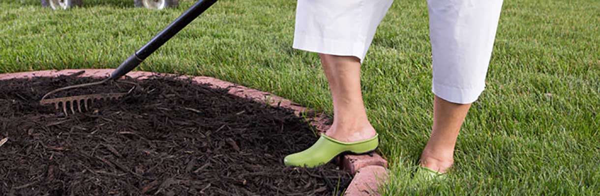 Apply weed preventer and mulch - Caring for Annuals Apply weed preventer and mulch - Caring for Annuals