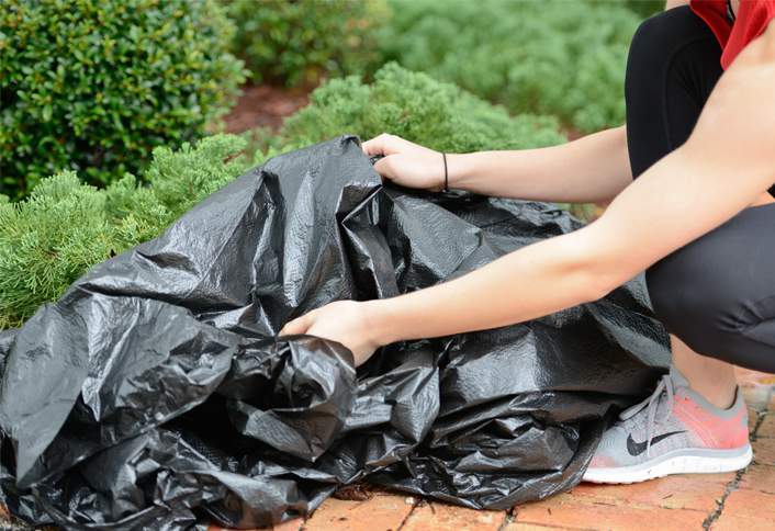 Prepare area for washing - How to Clean Brickwork Prepare area for washing - How to Clean Brickwork
