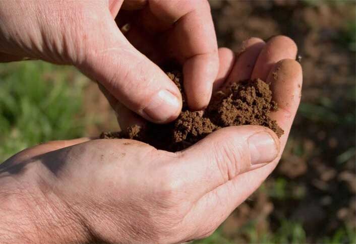 Choose Potting Soil - Container Planting Basics Choose Potting Soil - Container Planting Basics