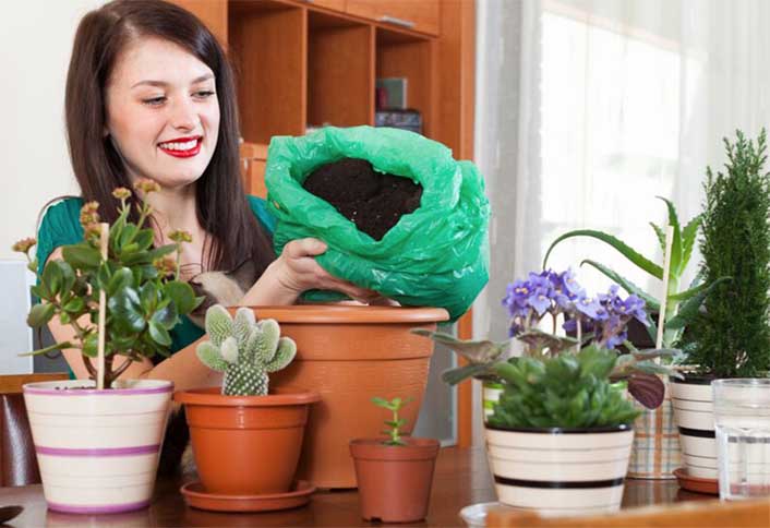 Select Prepare Containers - Container Planting Basics Select Prepare Containers - Container Planting Basics