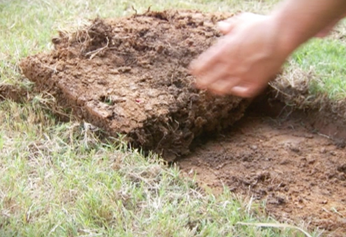 Pull sod - Cutting New Borders Pull sod - Cutting New Borders