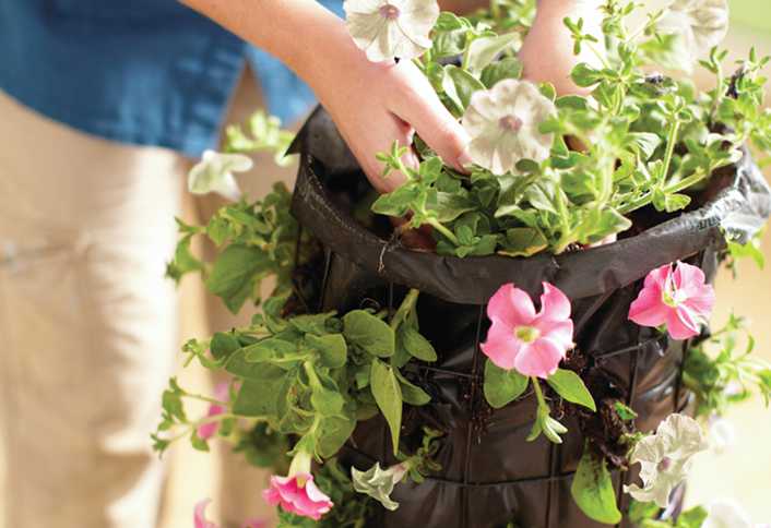 Place plants on top - Build a Flower Tower Place plants on top - Build a Flower Tower