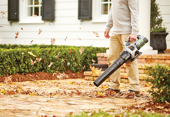 Fall Clean Up Fall Clean Up