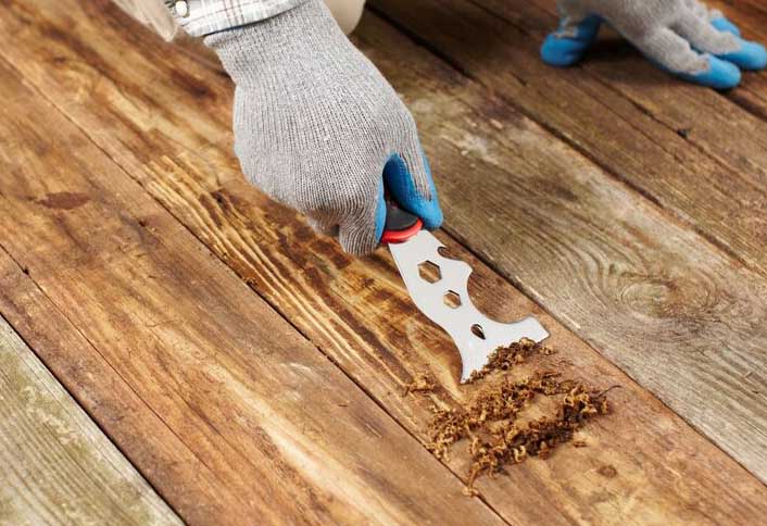 Scrape off loose finish - Give Your DeckFresh New Look Scrape off loose finish - Give Your DeckFresh New Look