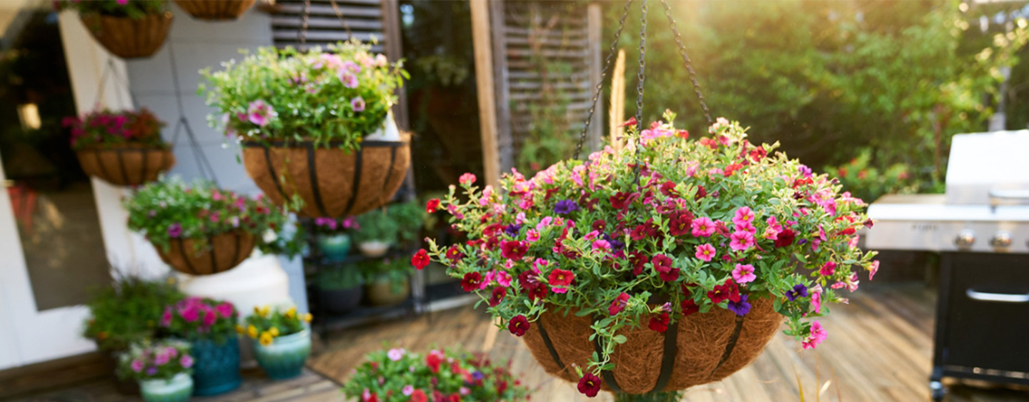 Home Depot Hanging Baskets Home Decor