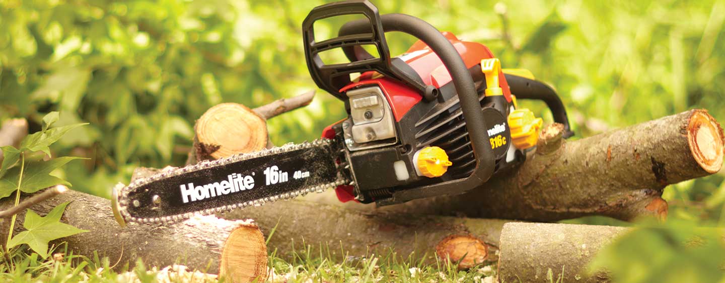 How to cut down a tree How to cut down a tree