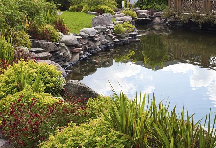 Water Gardens - Water Gardens Fish Pond Water Gardens - Water Gardens Fish Pond