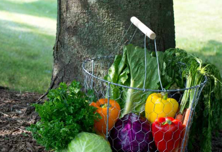 Make a Tomato Cage Basket Make a Tomato Cage Basket