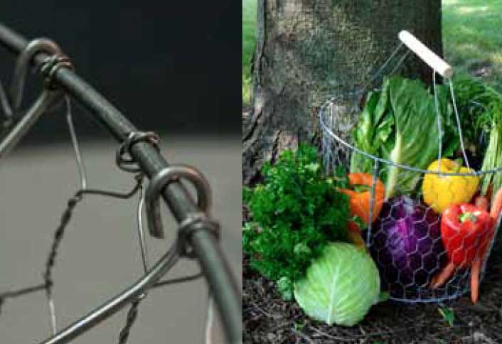 Attach the hanger ends - Make Tomato Cage Basket Attach the hanger ends - Make Tomato Cage Basket
