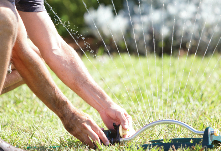 Keep watering - Starting New Lawn from Seed Keep watering - Starting New Lawn from Seed