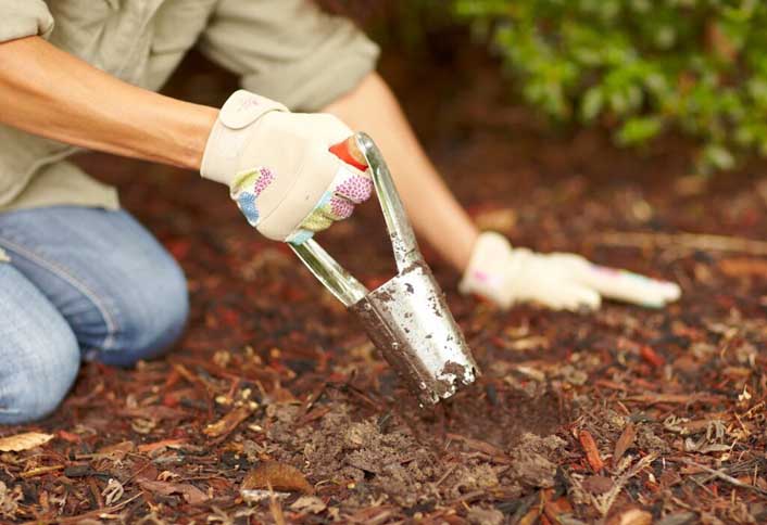 Prepare the soil - Plant Spring Flowering Bulbs Prepare the soil - Plant Spring Flowering Bulbs