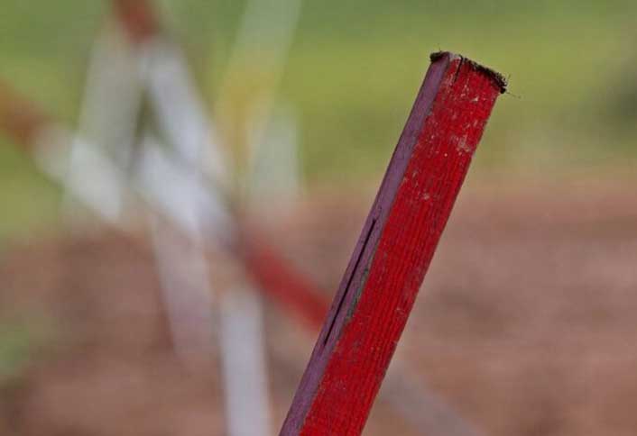 Drive stakes into ground - Stake a Tree Drive stakes into ground - Stake a Tree