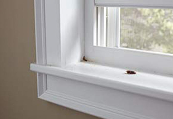 Identify Points of Entry Identify Points of Entry