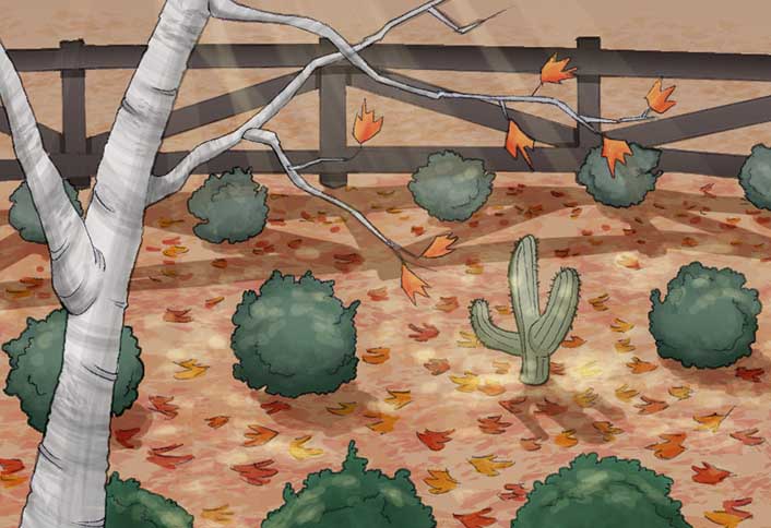 Don’t put wrong plant in wrong place - Landscape Design Basics Don’t put wrong plant in wrong place - Landscape Design Basics