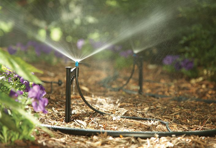 Lawn Watering Tips & Techniques Lawn Watering Tips & Techniques