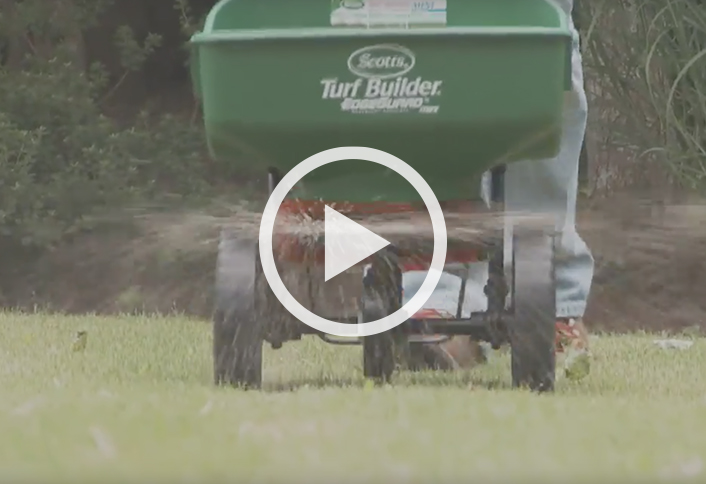 Overseeding Your Lawn At The Home Depot Overseeding Your Lawn