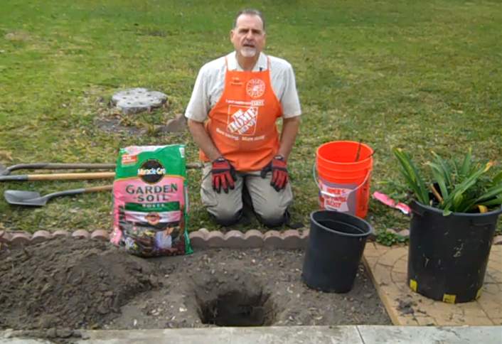 Dig hole soil - Plant Bare-Root Rose Dig hole soil - Plant Bare-Root Rose