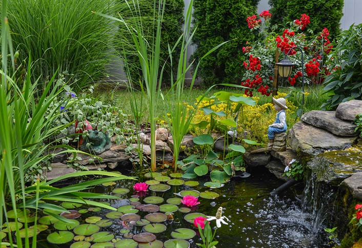 Pond Cleaners & Accessories Pond Cleaners & Accessories
