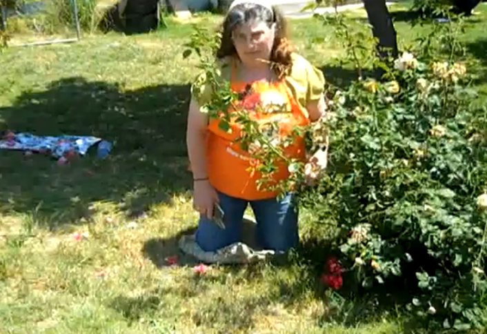 Rose maintenance - Plant Bare-Root Rose Rose maintenance - Plant Bare-Root Rose