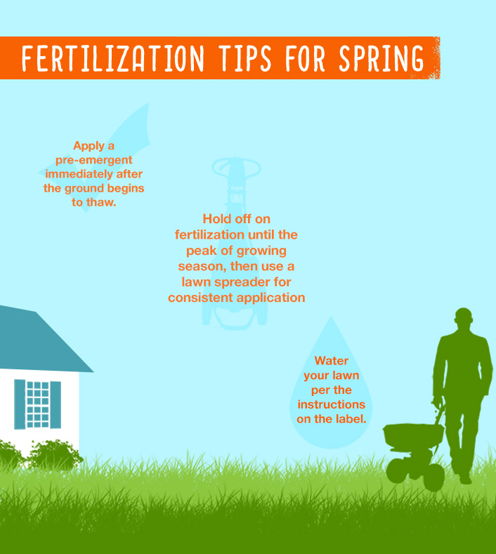 Infographic Fertilization Tips for Spring Infographic Fertilization Tips for Spring