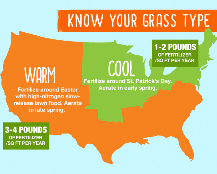 Infographic Know Your Grass Type Infographic Know Your Grass Type