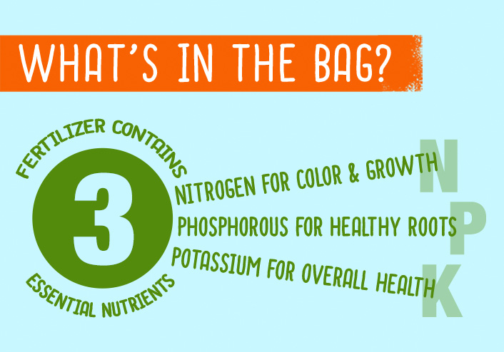 Infographic What’s in the Bag Infographic What’s in the Bag