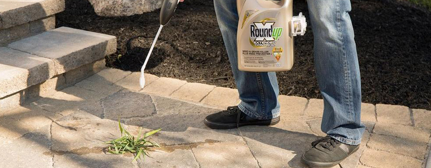 How to Kill Weeds in Driveways and Patios How to Kill Weeds in Driveways and Patios