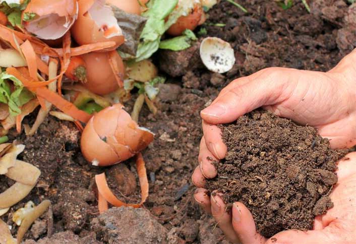 Prepare soil - Plant Summer-Flowering Bulbs Prepare soil - Plant Summer-Flowering Bulbs