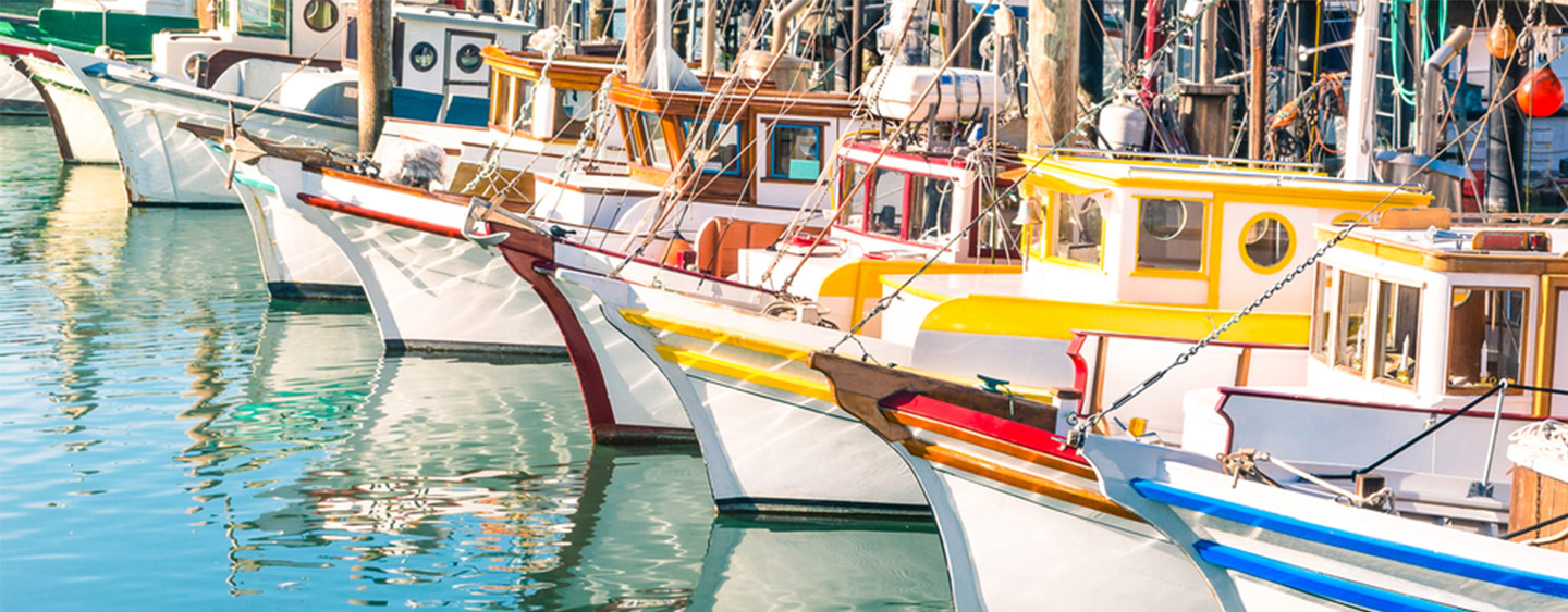 Boat and Marine Paint Boat and Marine Paint