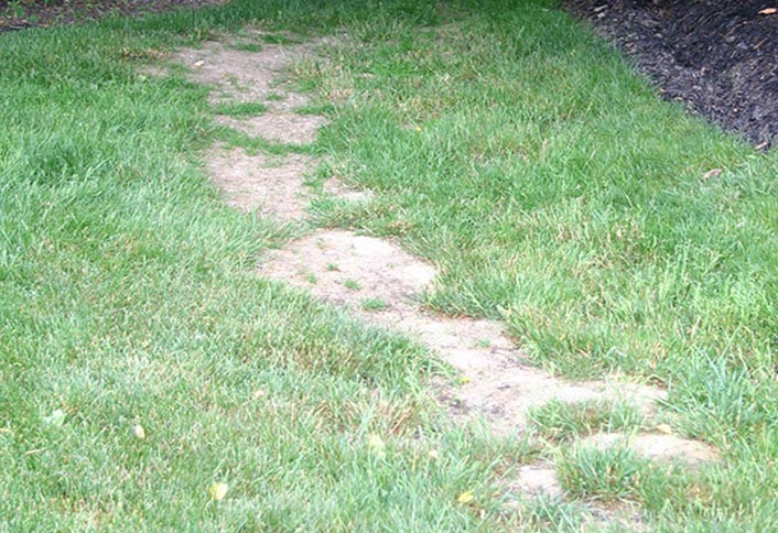 How To Build A French Drain