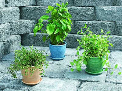 How To Make an Herb Tower Container Garden at The Home Depot How to Build Your Own Ve able Garden · 6 Herbs to Grow this Winter