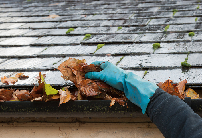 Prep outside - Preparing Home Inspection Prep outside - Preparing Home Inspection
