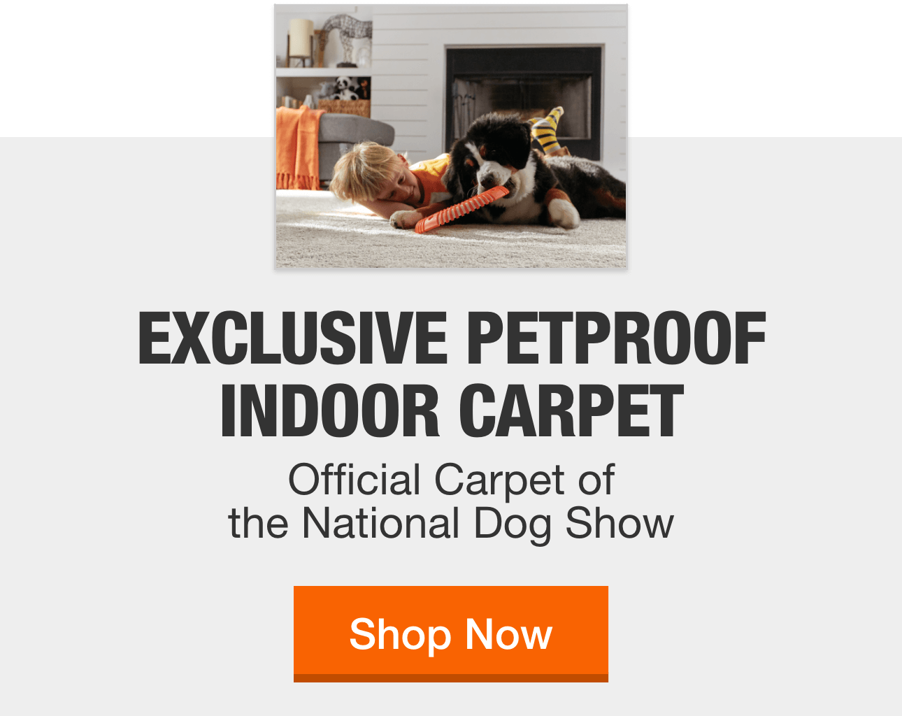 Apple Butter Pattern Carpet Indoor Carpet The Home Depot