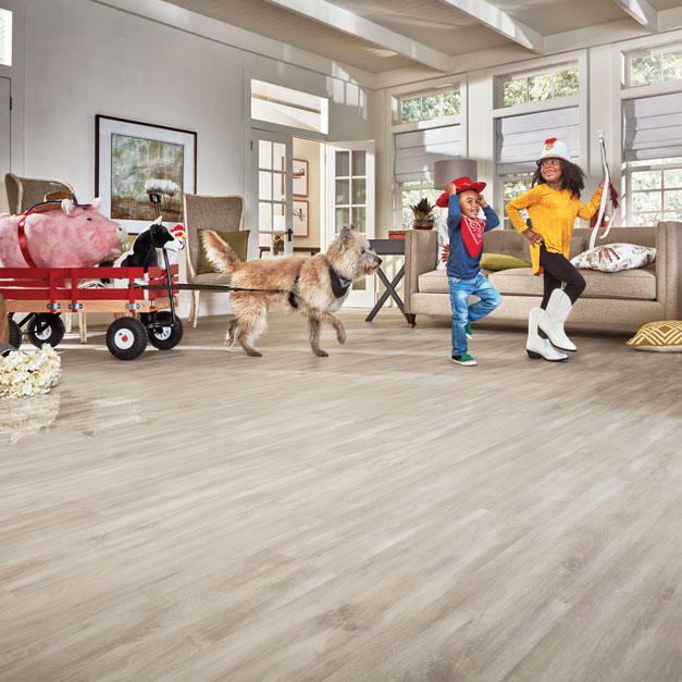 Scratch Resitant Floors For Dogs Everett Flooring Store