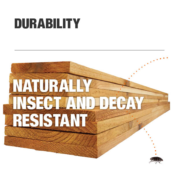 Alta Forest Products 5/8 in. x 31/2 in. x 6 ft. Western Red Cedar Dog