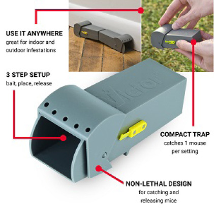 non lethal mouse trap