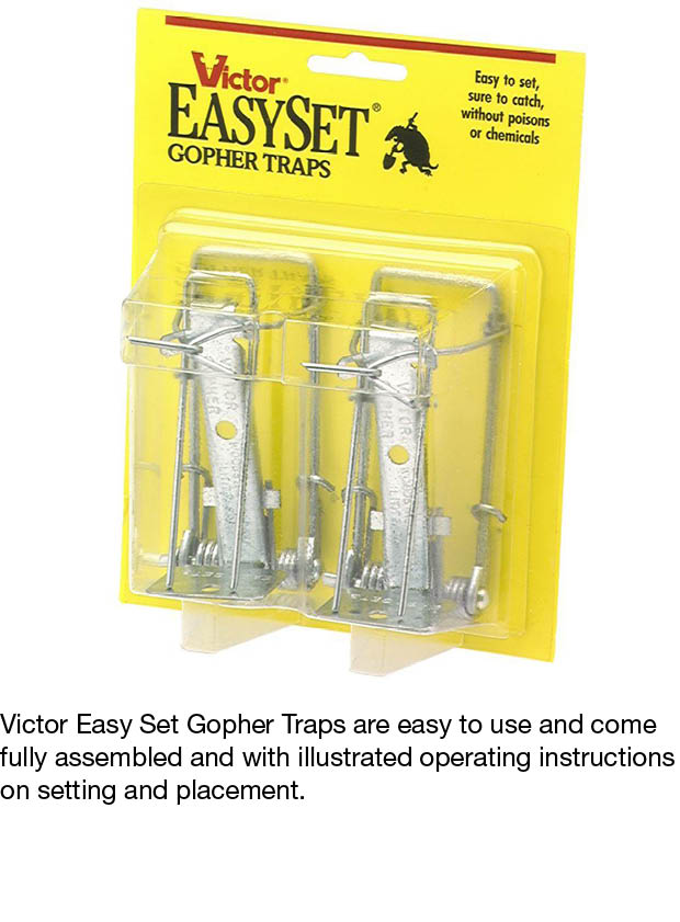 Victor Gopher Trap Twin Pack0611 The Home Depot
