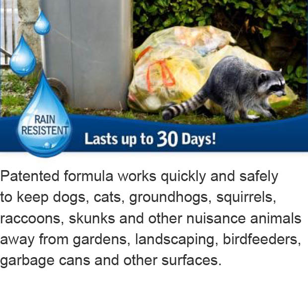 Havahart 32 oz. Critter Ridder ReadytoUse Animal Repellent Spray3145