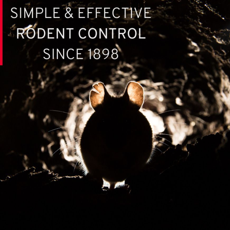 We Know Rodents, providing simple and effective rodent control since 1898 We Know Rodents, providing simple and effective rodent control since 1898