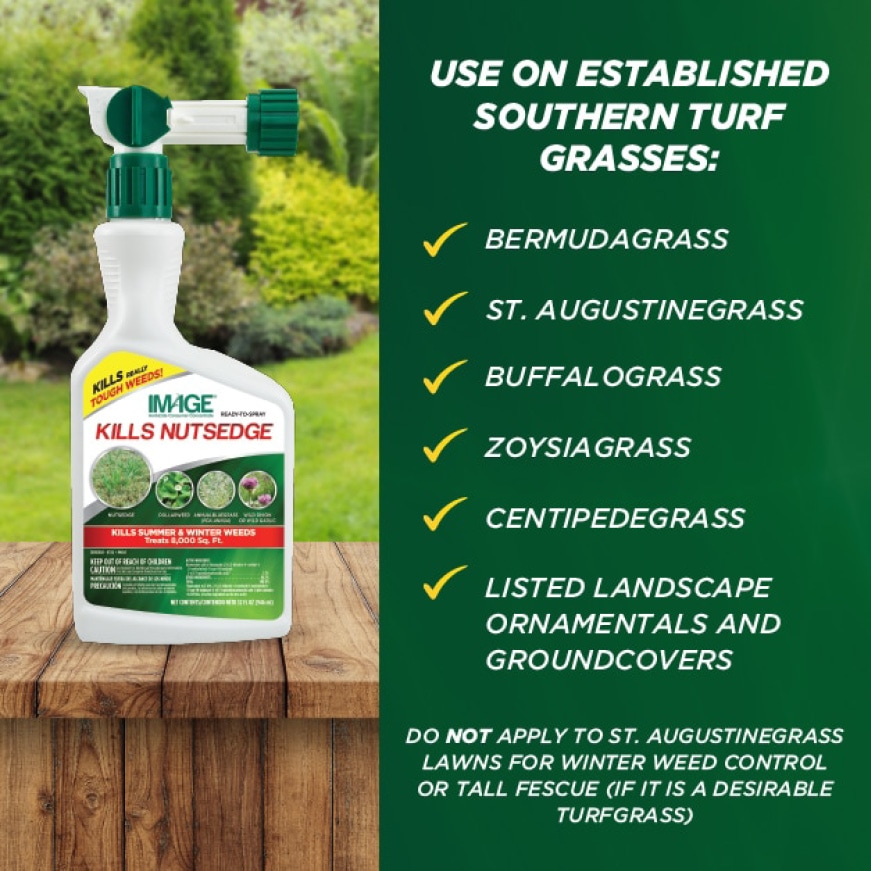 IMAGE 32 oz. Ready-To-Spray Nutsedge Killer-100099407 - The Home Depot