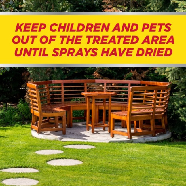 IMAGE 32 oz. ReadyToSpray Nutsedge Killer100099407 The Home Depot