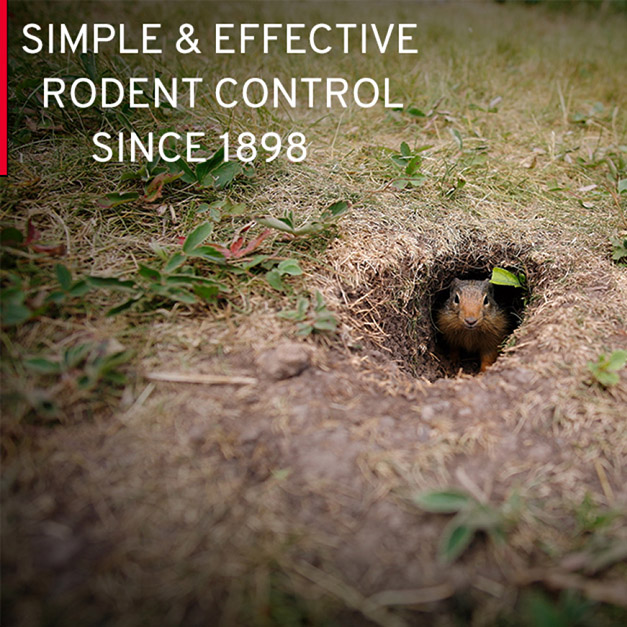We Know Rodents, providing simple and effective rodent control since 1898 We Know Rodents, providing simple and effective rodent control since 1898
