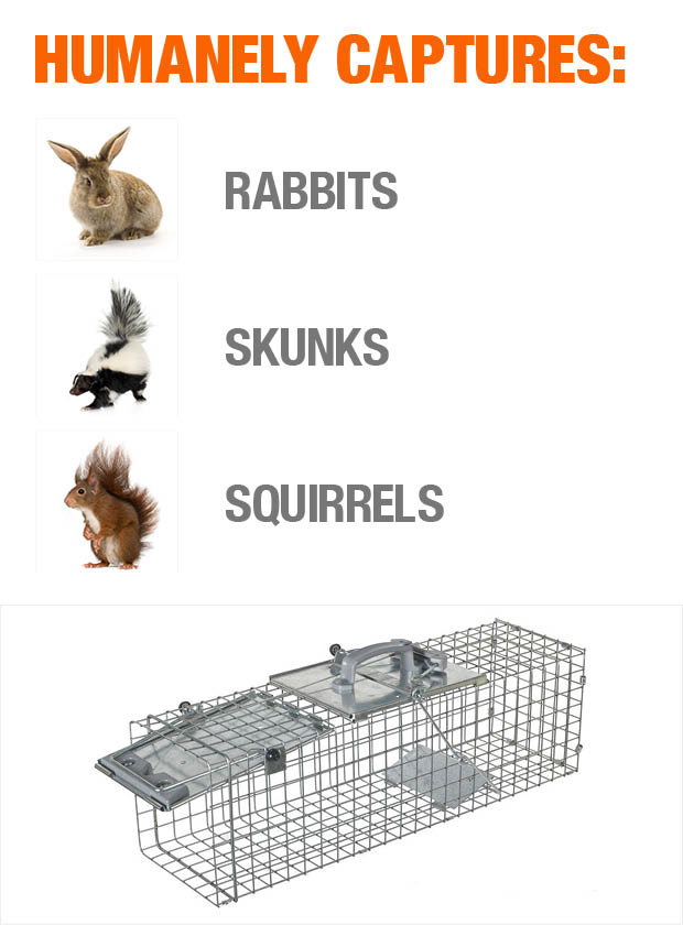 Havahart Medium Easy Set Live Animal Cage Trap1084 The Home Depot